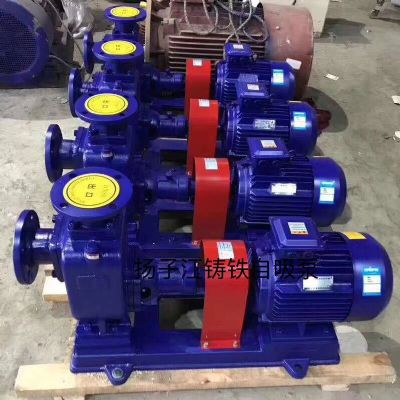 ZX������